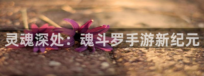雷火电竞开奖历史：灵魂深处：魂斗罗手游新纪元