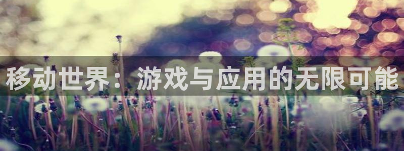 28大神加拿大：移动世界：游戏与应用的无限可能