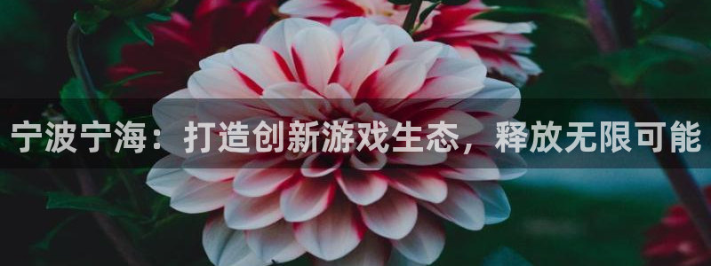 pc28大神苹果下载网址：宁波宁海：打造创新游戏生态，释放无