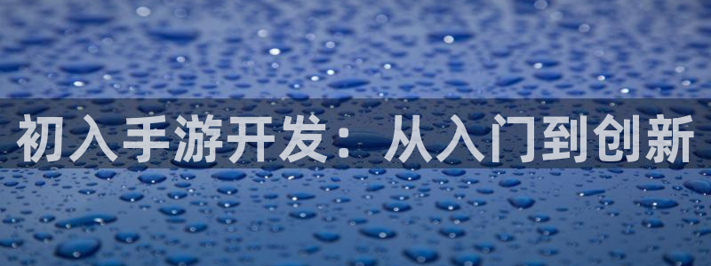 28大神怎么找不到了：初入手游开发：从入门到创新