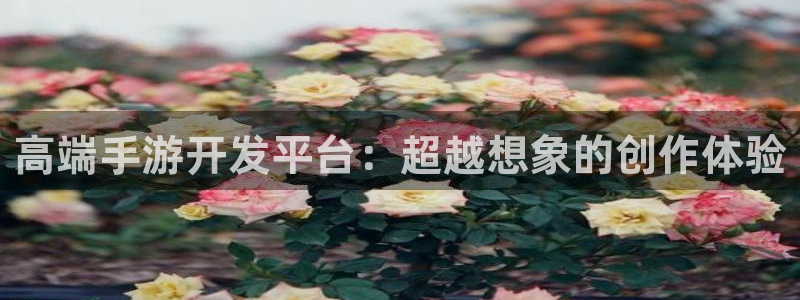 28大神加拿大在线预测：高端手游开发平台：超越想象的创作体验