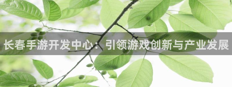 雷火电竞开奖官网查询中奖号码：长春手游开发中心：引领游戏创新