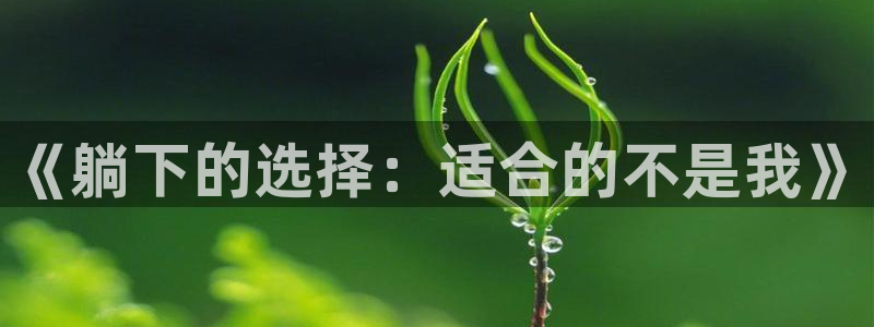 k1体育十年品牌官网