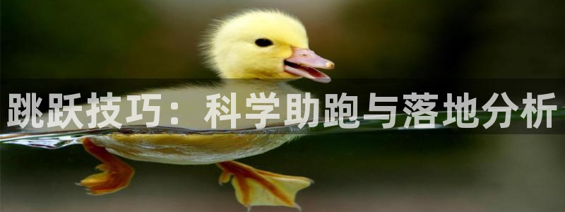 k1体育棋牌网址