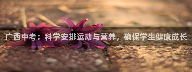 k1体育下载链接