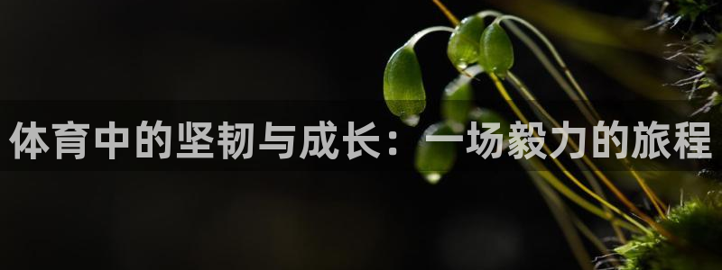 k1体育app下载