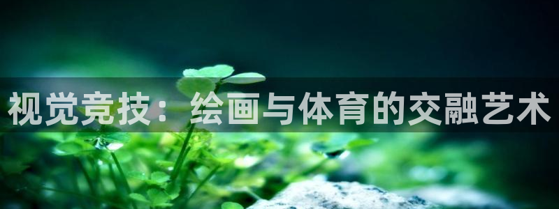 帮k1体育在线登录