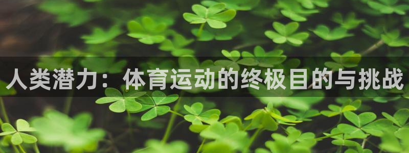 k1体育网址