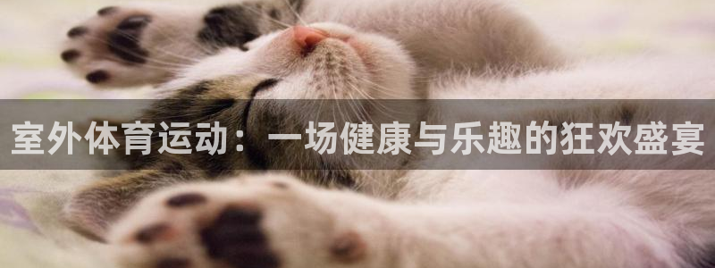 k1体育下载地址