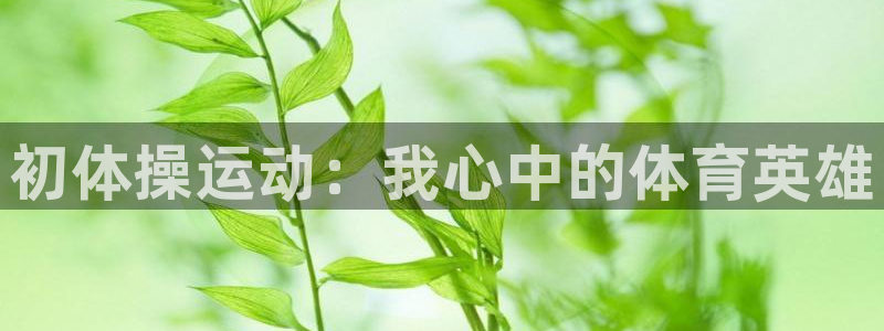 k1体育链接